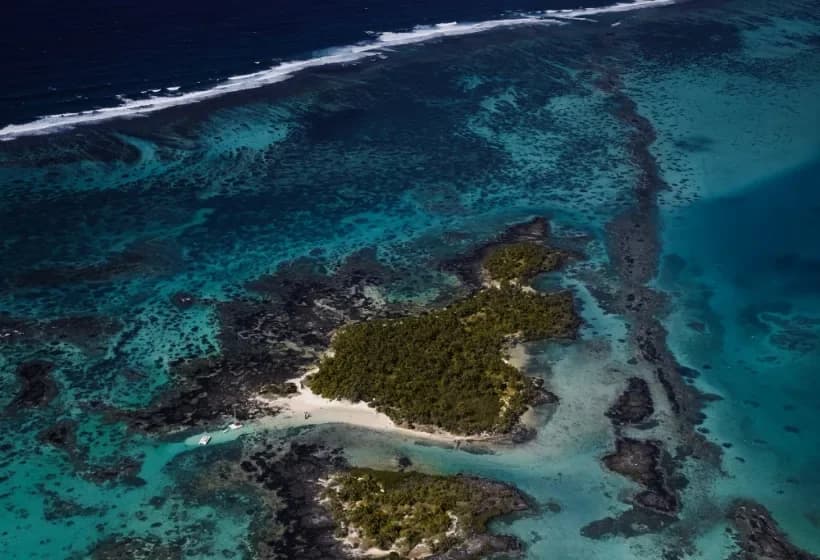 Luftaufnahme einer bewaldeten kleinen Insel und von Sandbänken in der Lagune