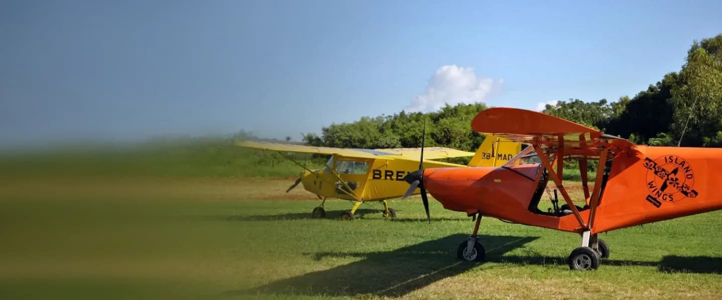 Aufgereihte Ultraleichtflugzeuge auf der Graspiste zwischen den Zuckerrohrfeldern