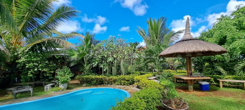 The shared pool and garden at Kot Nou
