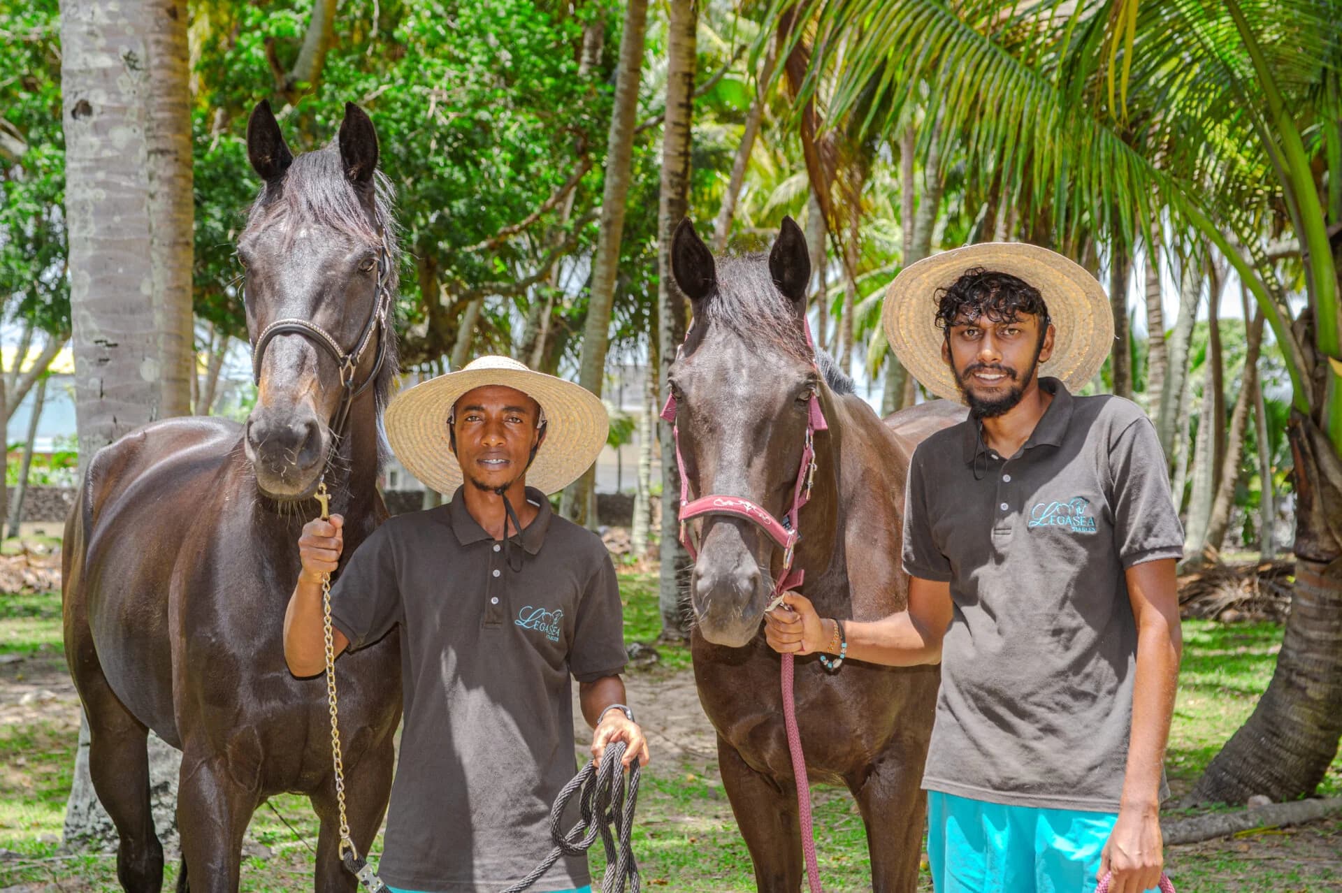 Legasea Stables