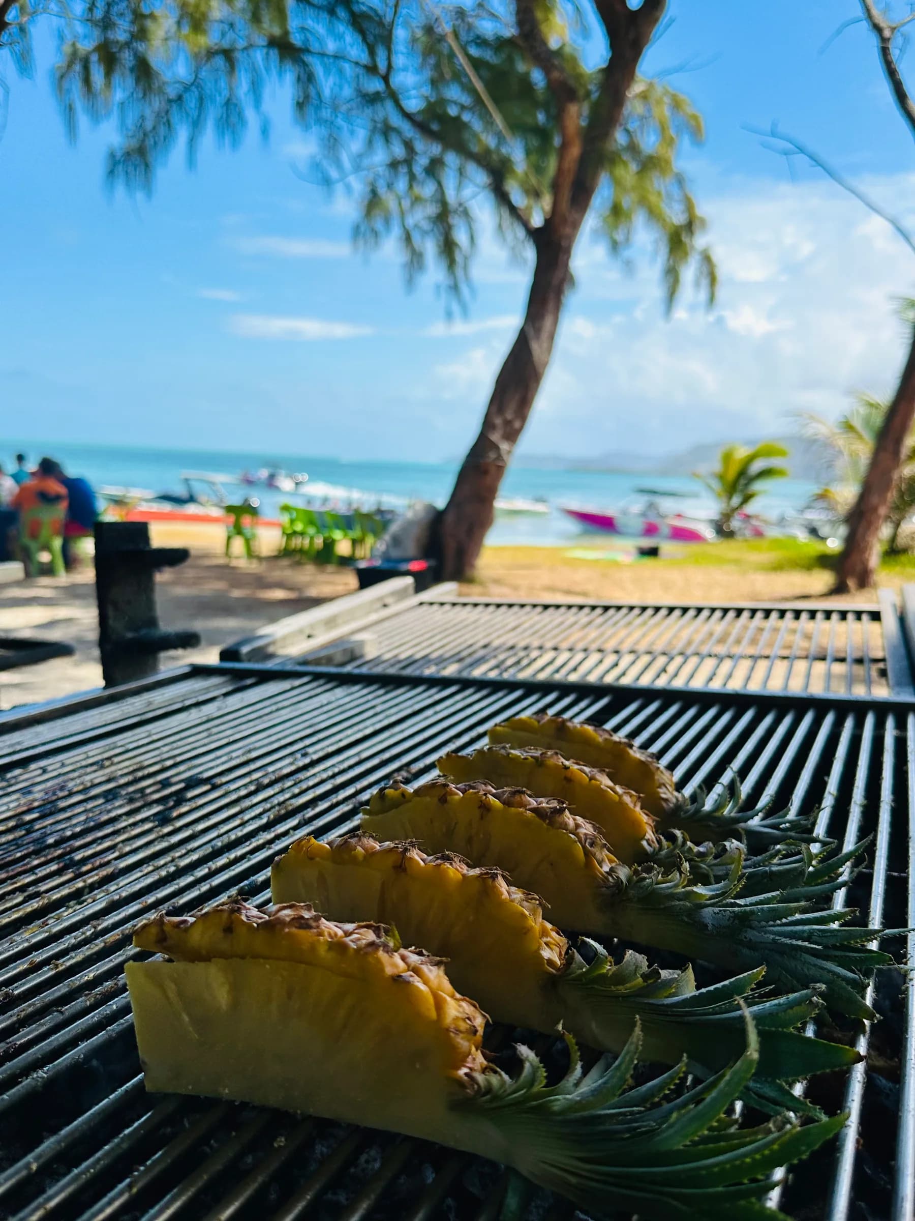 Fisch und Ananas auf einem Barbecue-Grill am Strand