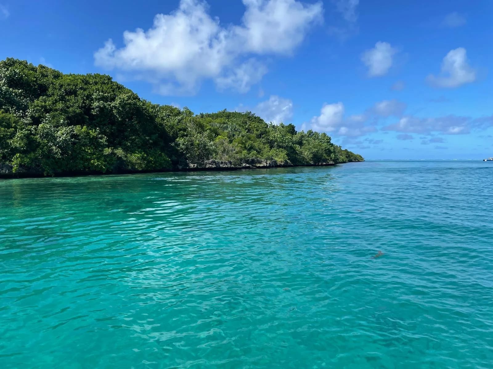 Eine bewaldete Insel am Rand der südöstlichen Lagune