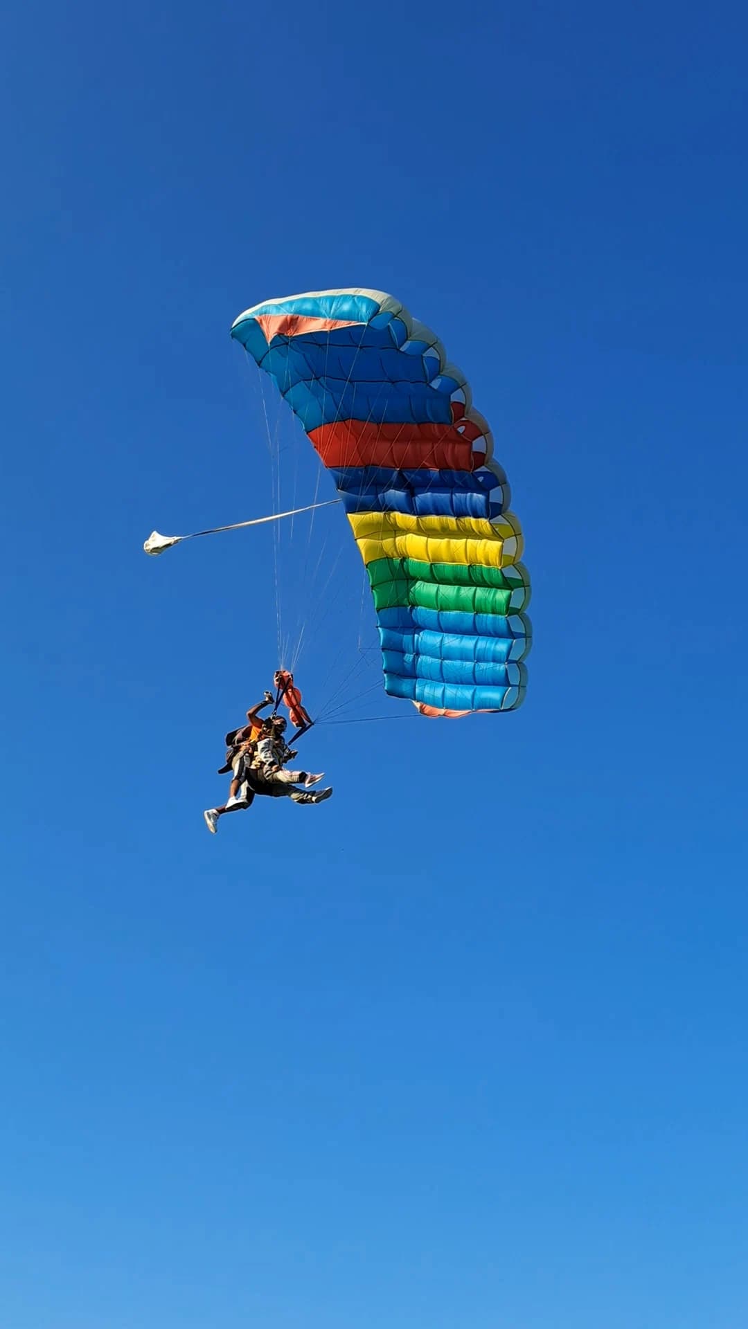 Ein Tandempaar beim Sinkflug unter einem bunten Fallschirm vor blauem Himmel