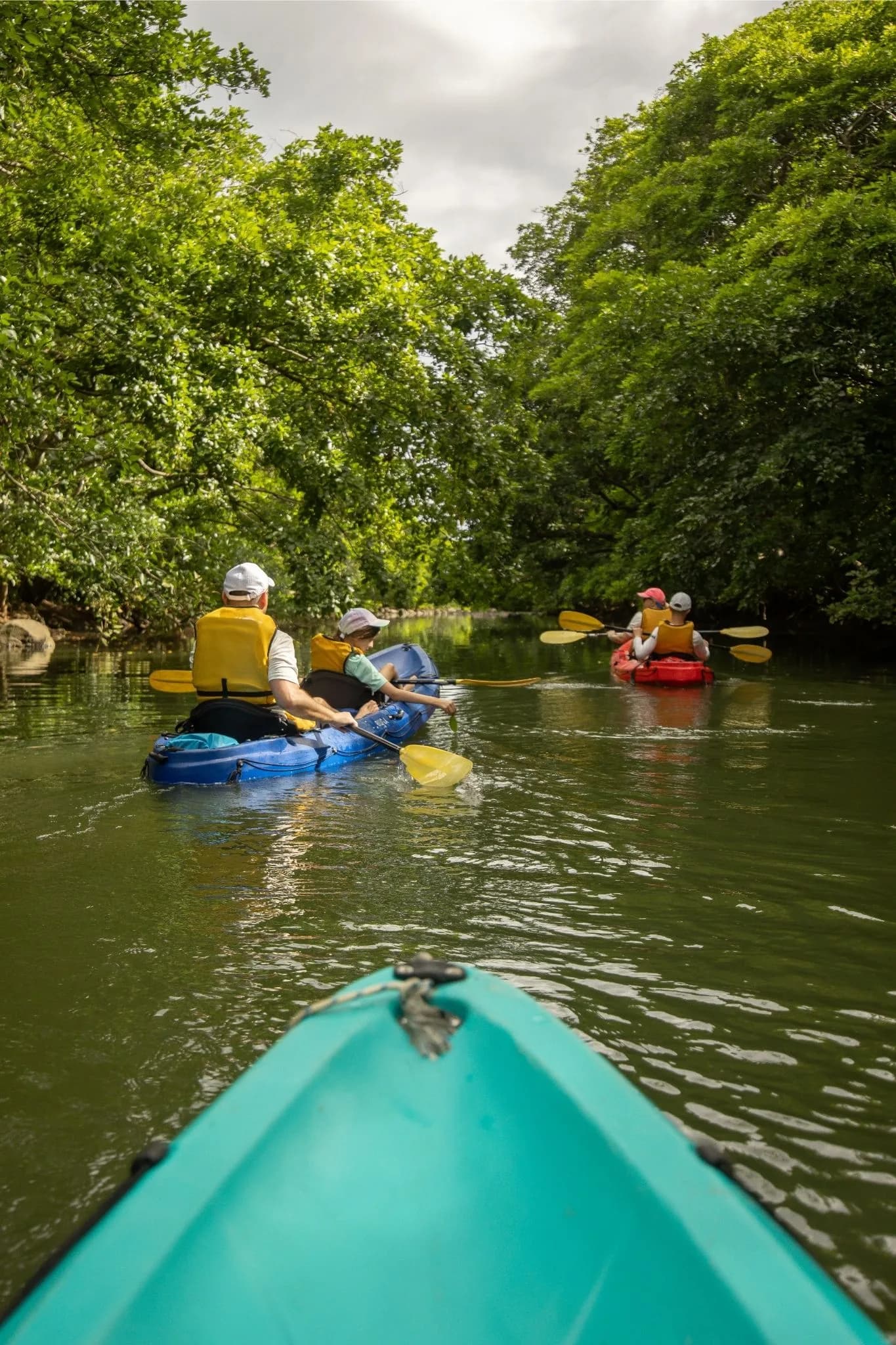 Kayak on the Tamarin River