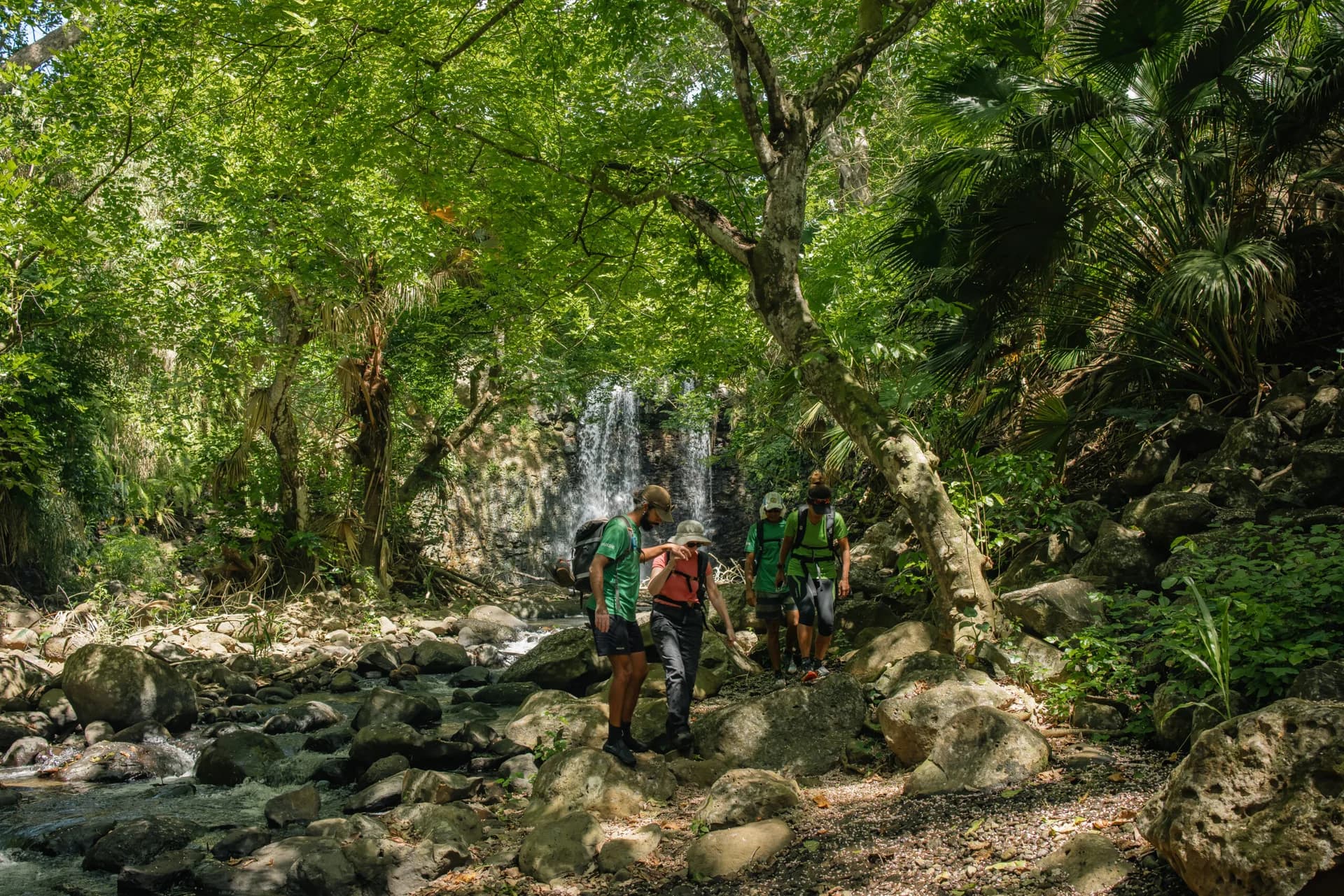 Discover the Wild South - Guided Hike