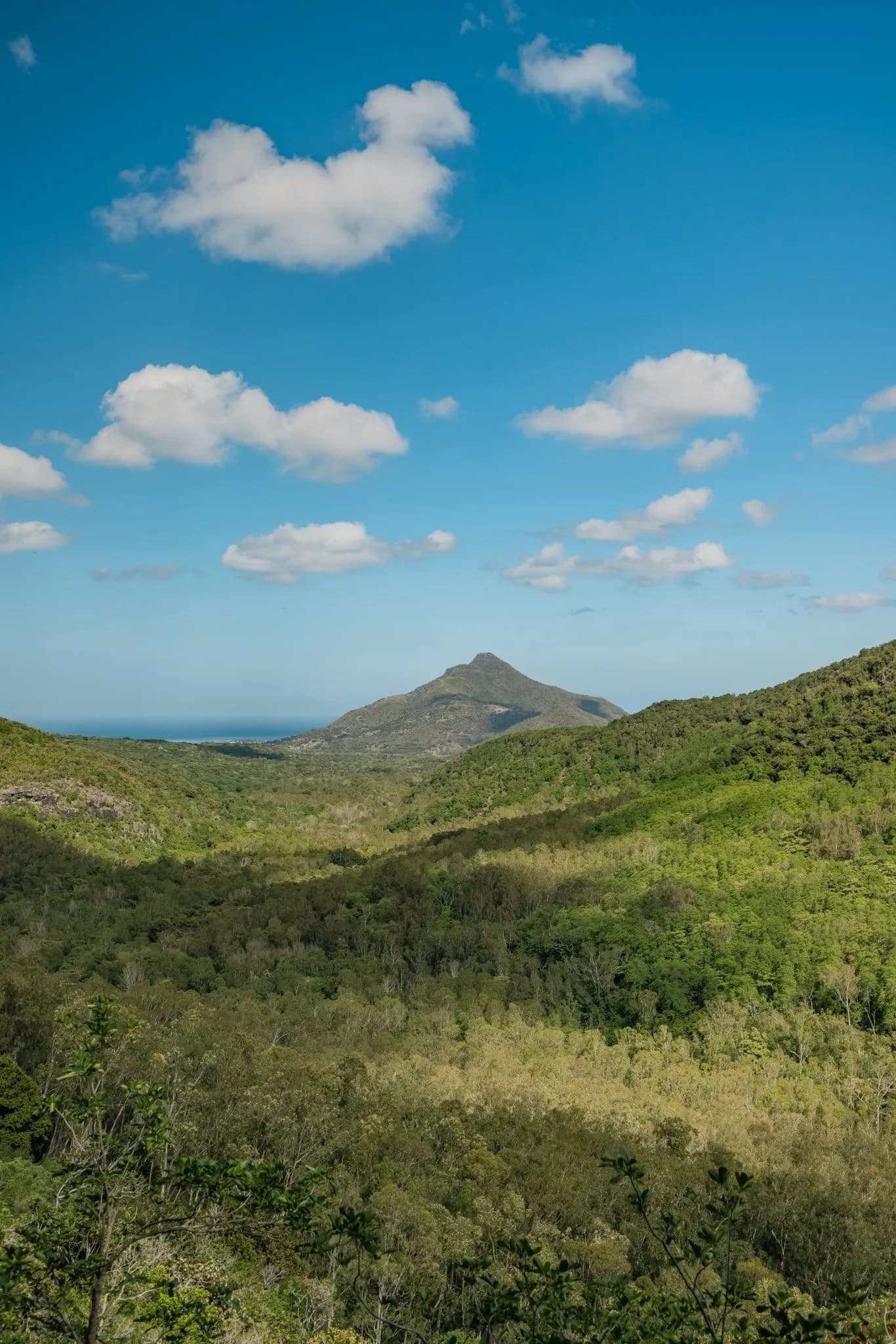 Hiking at Black-River Gorges