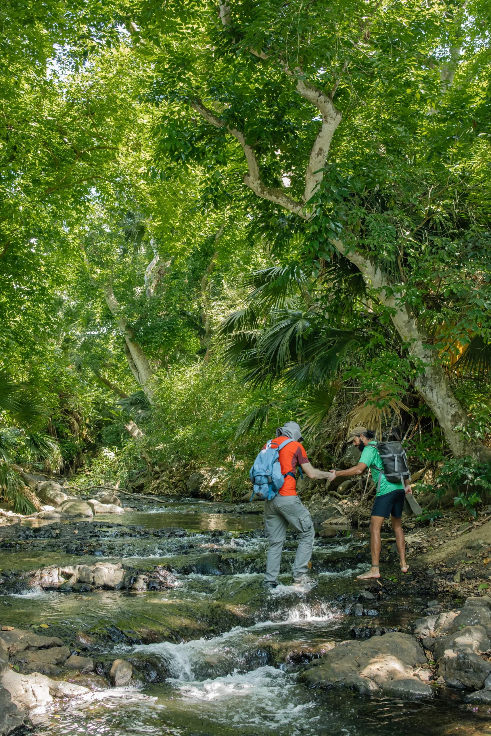Discover the Wild South - Guided Hike