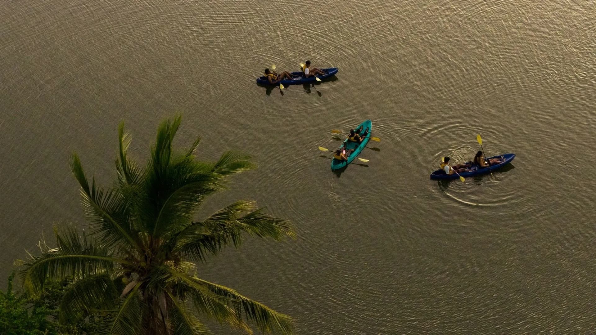 Kayak at Sunset on the Tamarin River