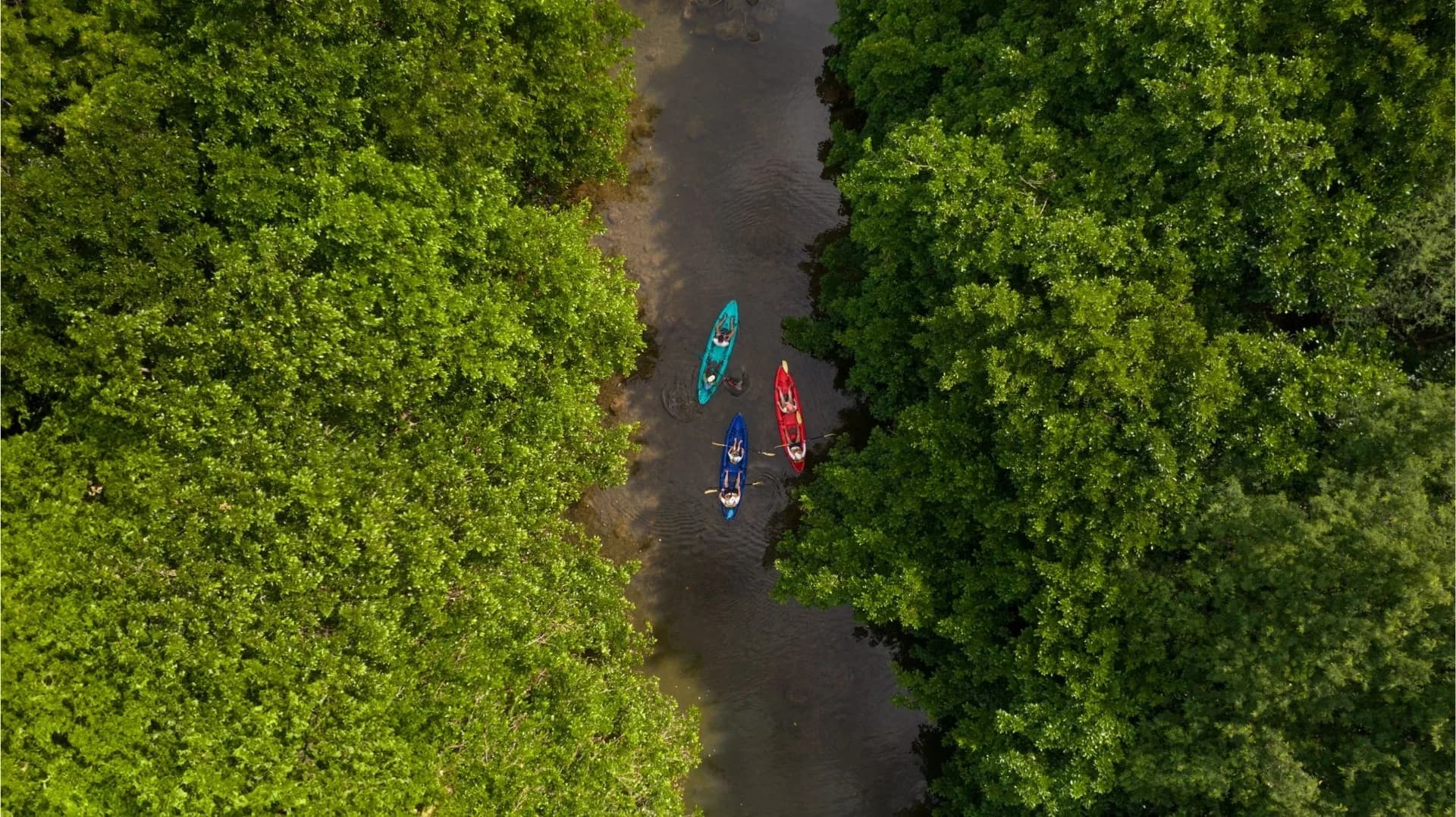 Kayak on the Tamarin River