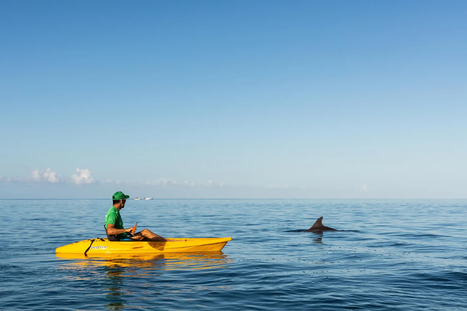 Best of Mauritius: Top Hiking, Waterfalls & Dolphin Tours