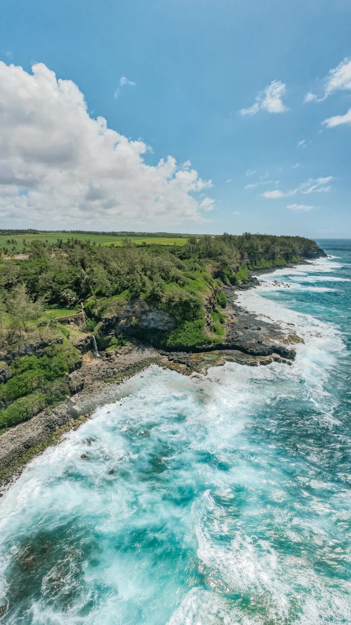 Discover the Wild South - Guided Hike