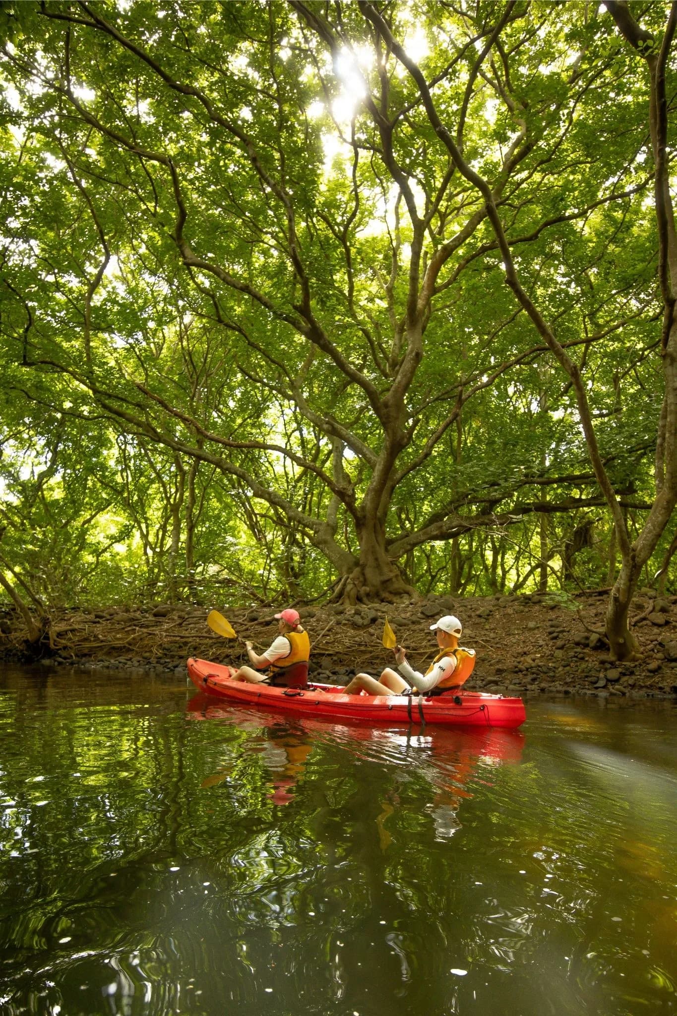Kayak on the Tamarin River