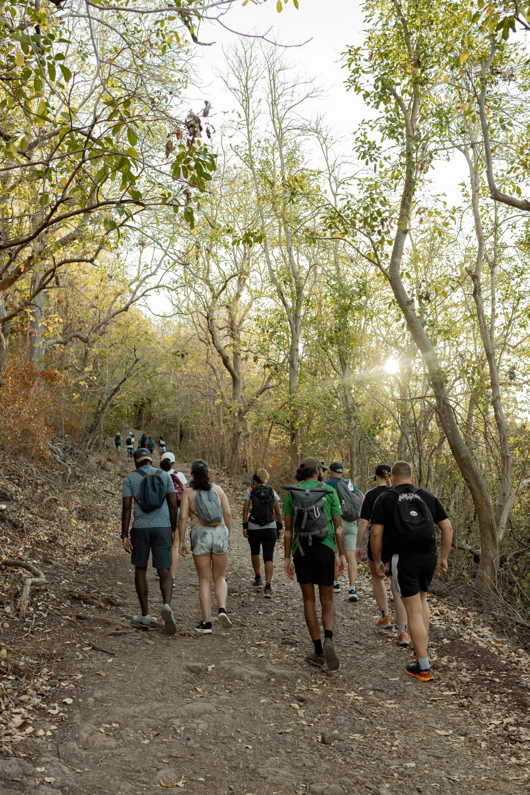 Le Morne Brabant Hike – The Original Guided Tour