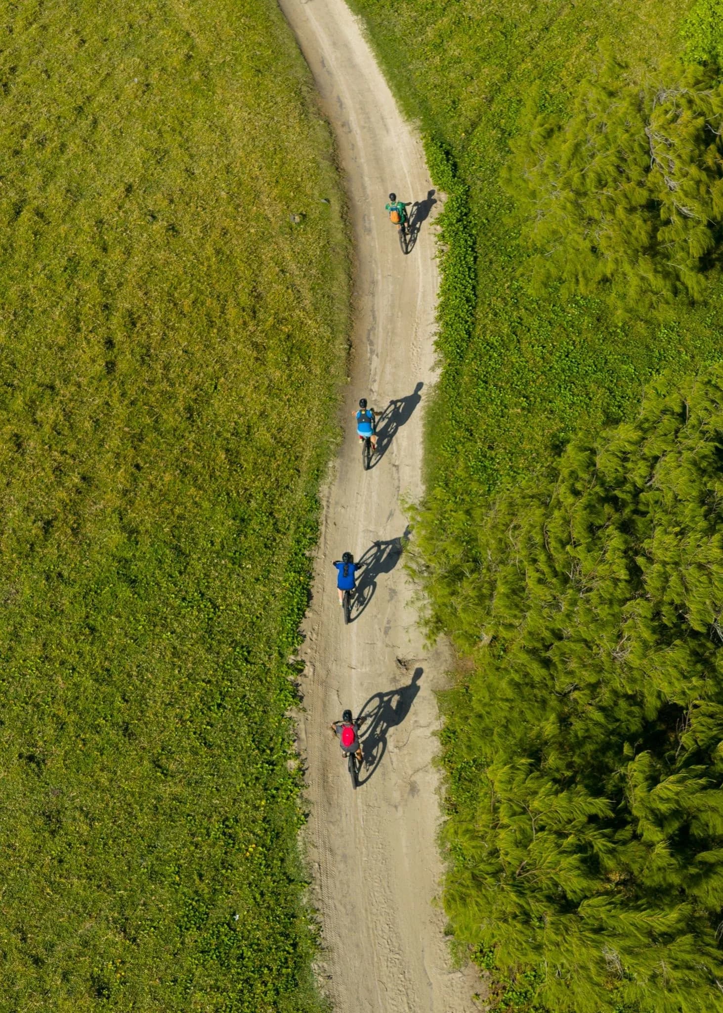 Wild South E-bike Adventure