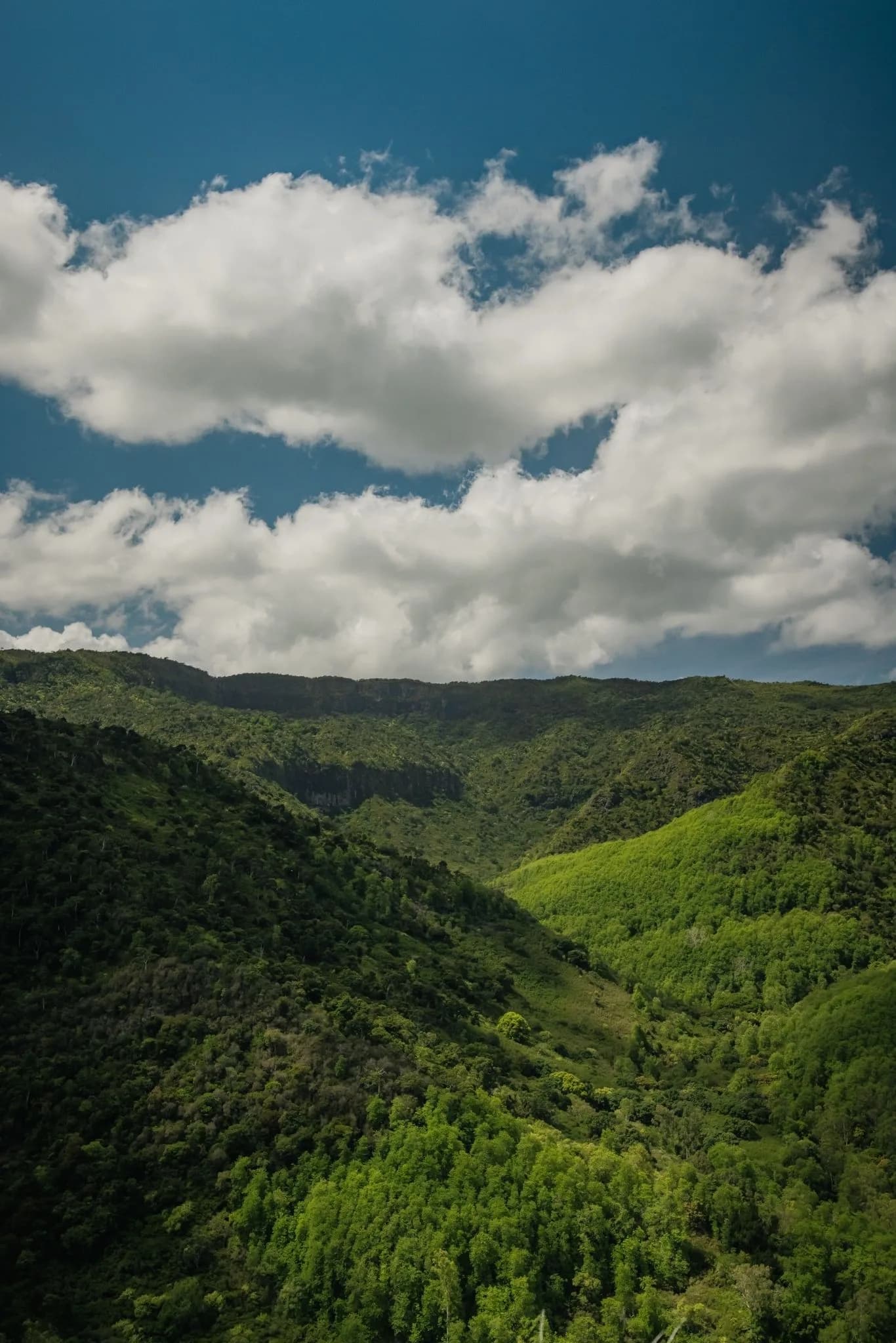 Hiking at Black-River Gorges