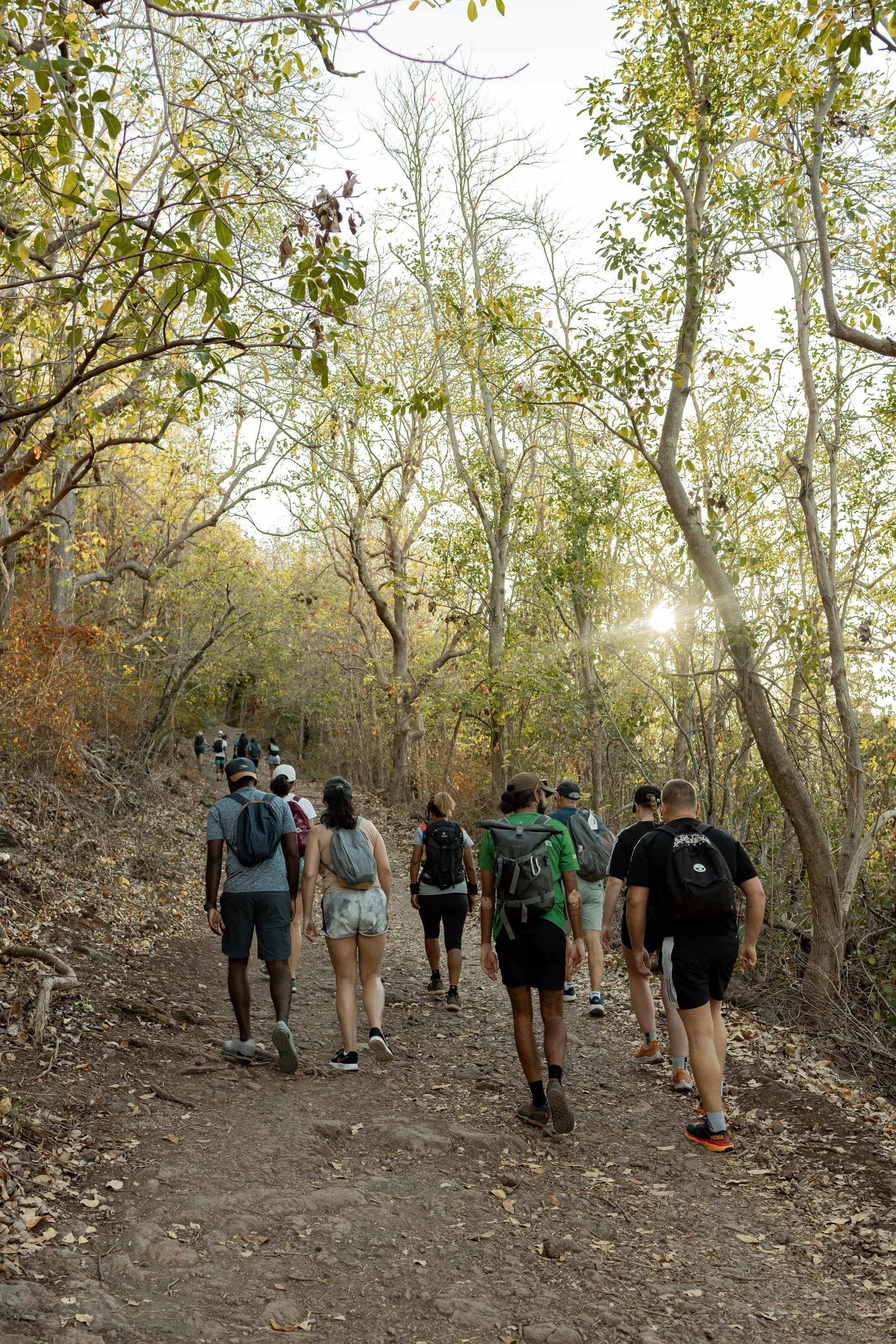 La Tourelle Hike – Panoramic Summit Experience