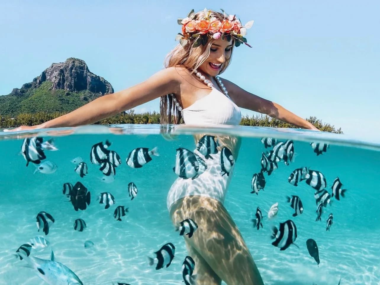 Underwater & Aerial Photography with Vitamin Sea Mauritius