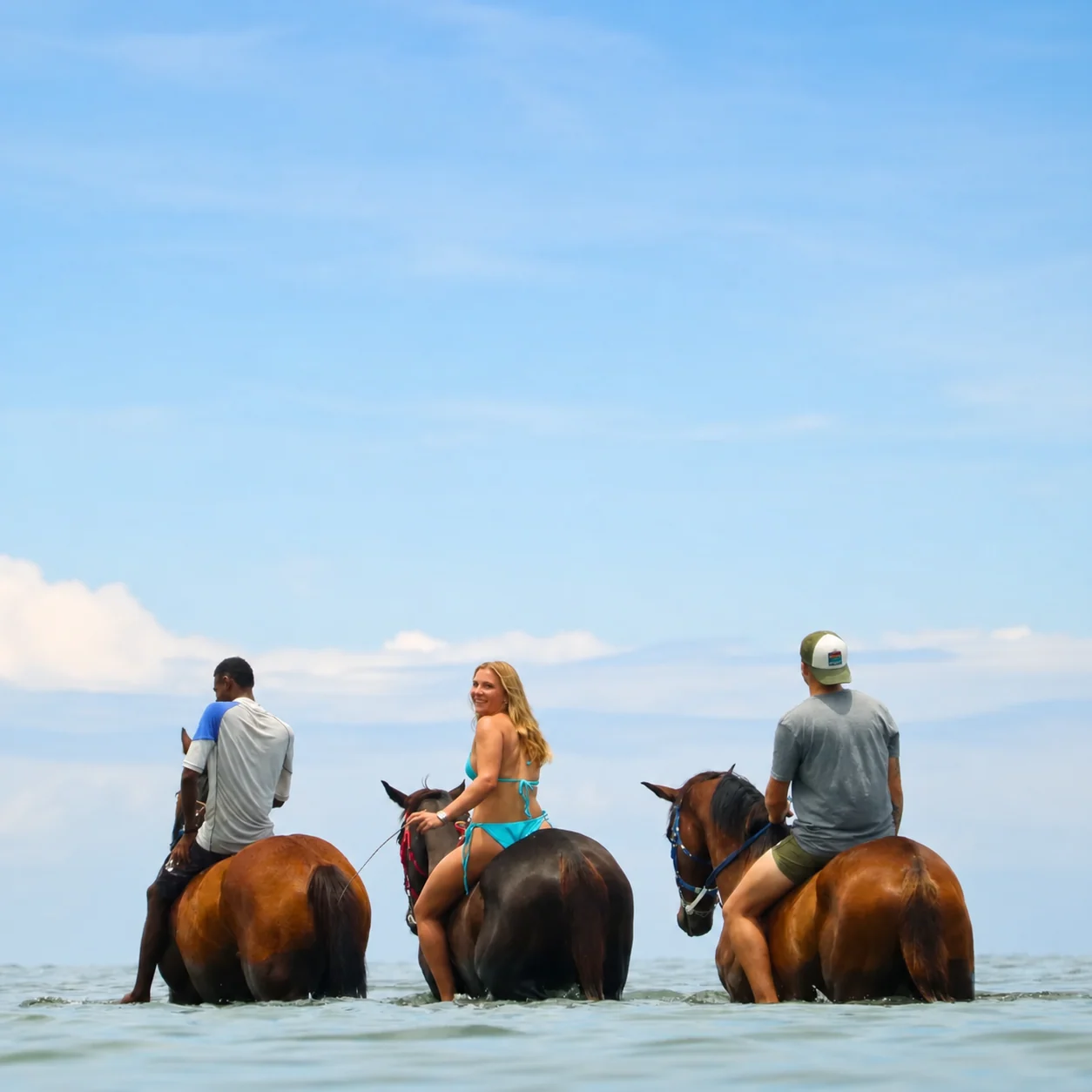 Horse Swimming at Le Morne photo 4