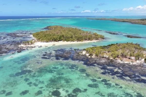 Excursión privada de un día a la isla Bernache
