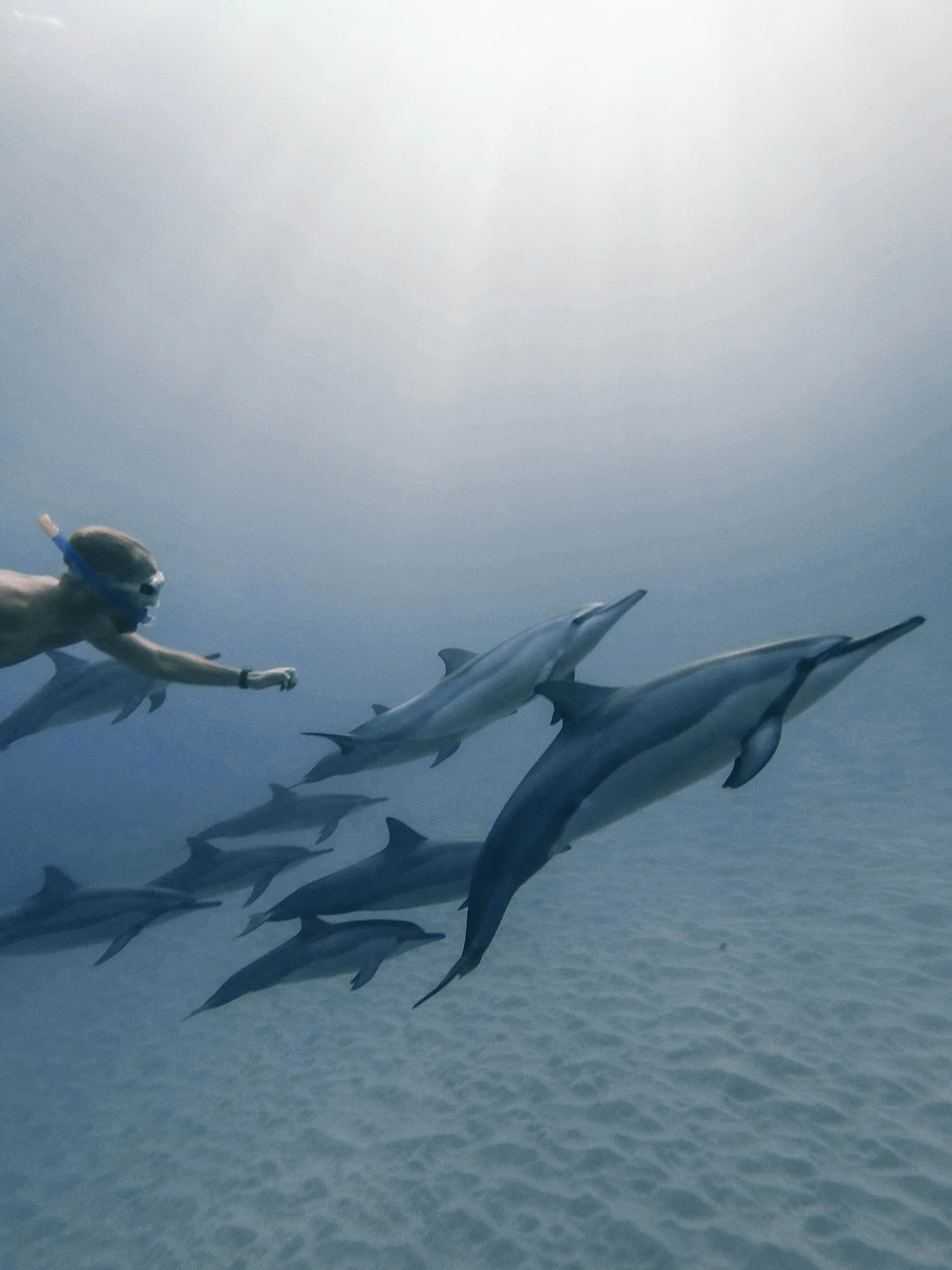 Le Morne Discovery Full Day with Vitamin Sea Mauritius
