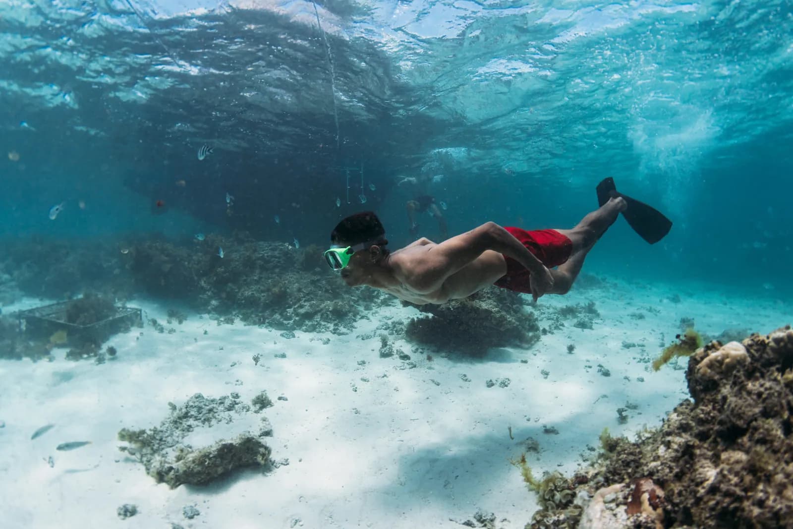 Ein Schnorchler schwimmt über dem Riff