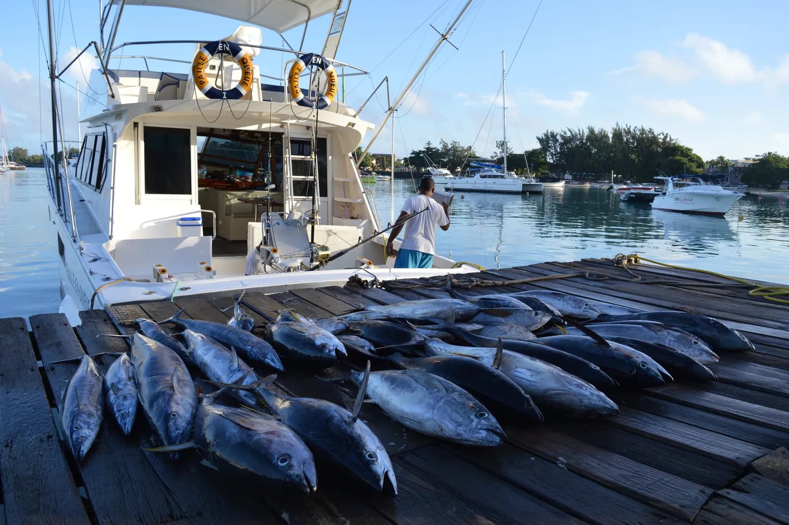 Des poissons disposés sur une jetée à côté d’un bateau de pêche sportive amarré