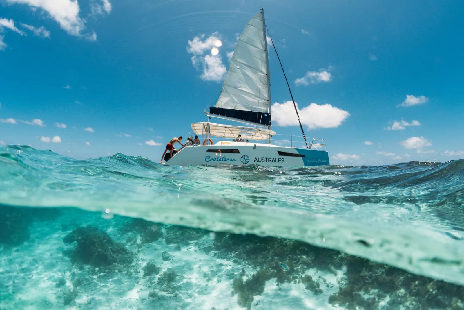 Catamaran et mangroves depuis Grand Gaube