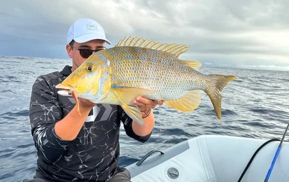 A reef fishing catch aboard the boat