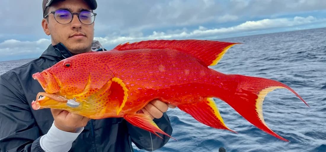 An angler using light sport fishing tackle near a reef edge