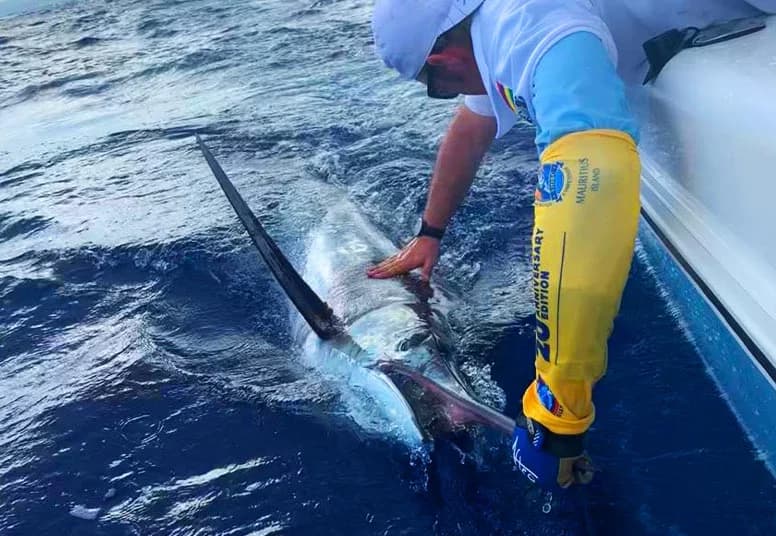 Private Big Game Fishing from Black River