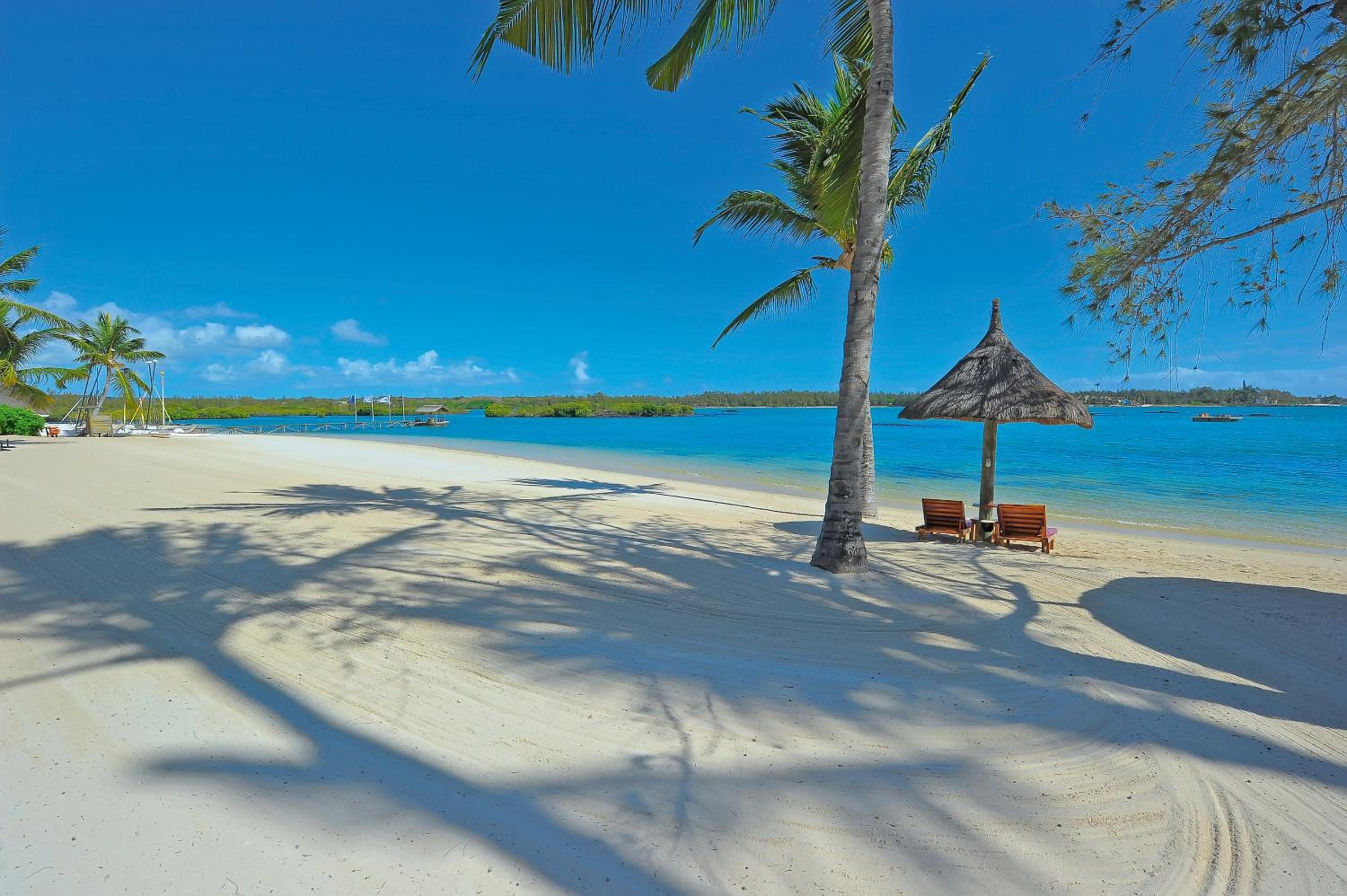 Constance Prince Maurice
