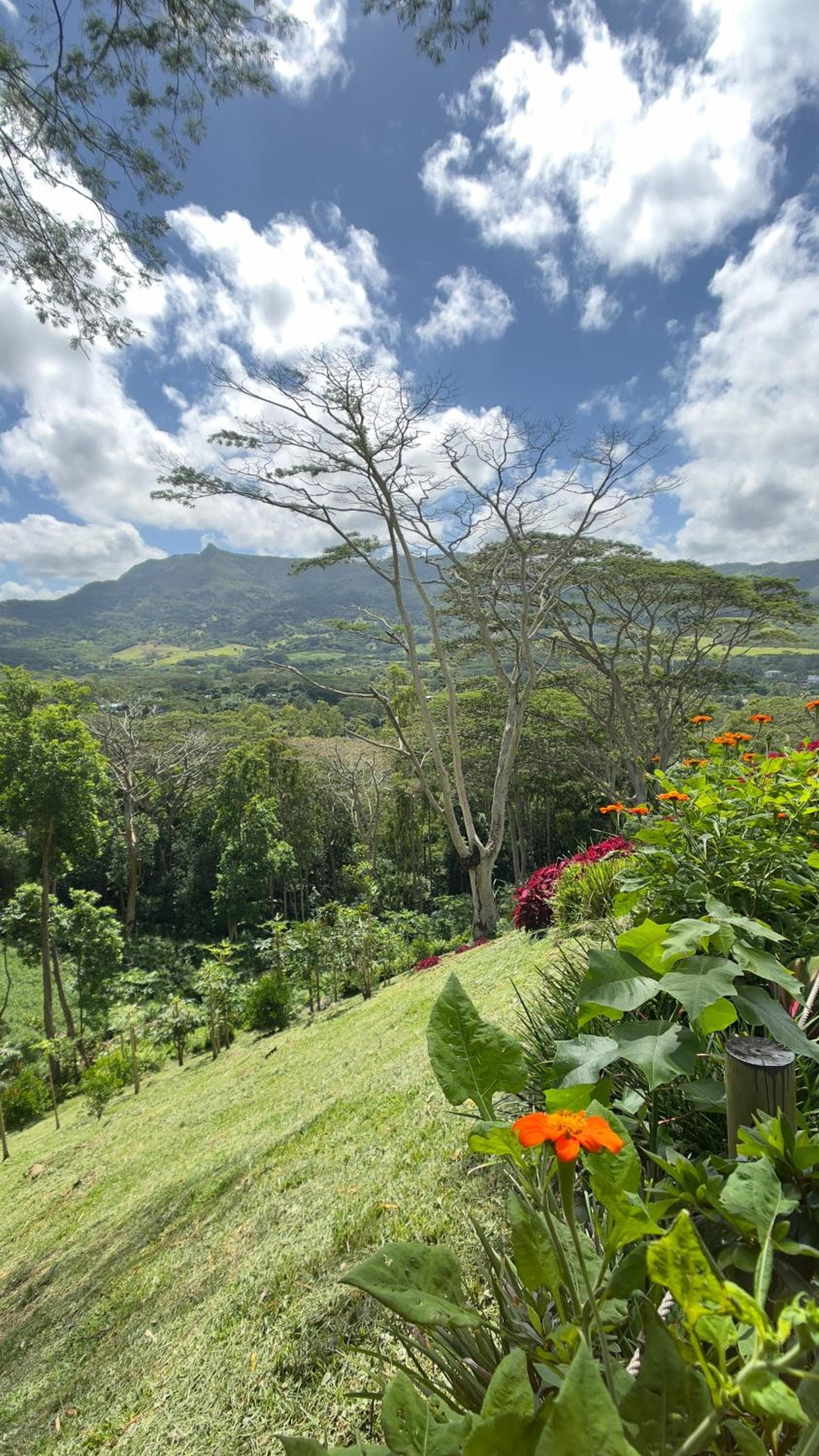 Green Cottage Chamarel