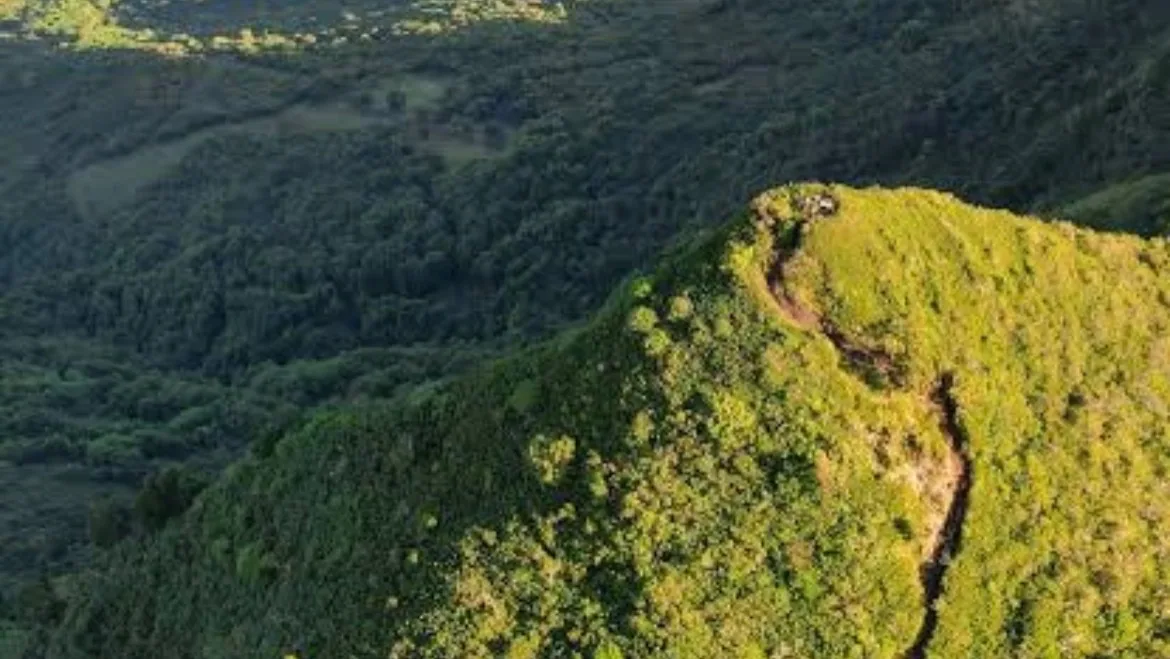 Blick vom Black River Peak auf die bewaldeten Bergkämme von Mauritius
