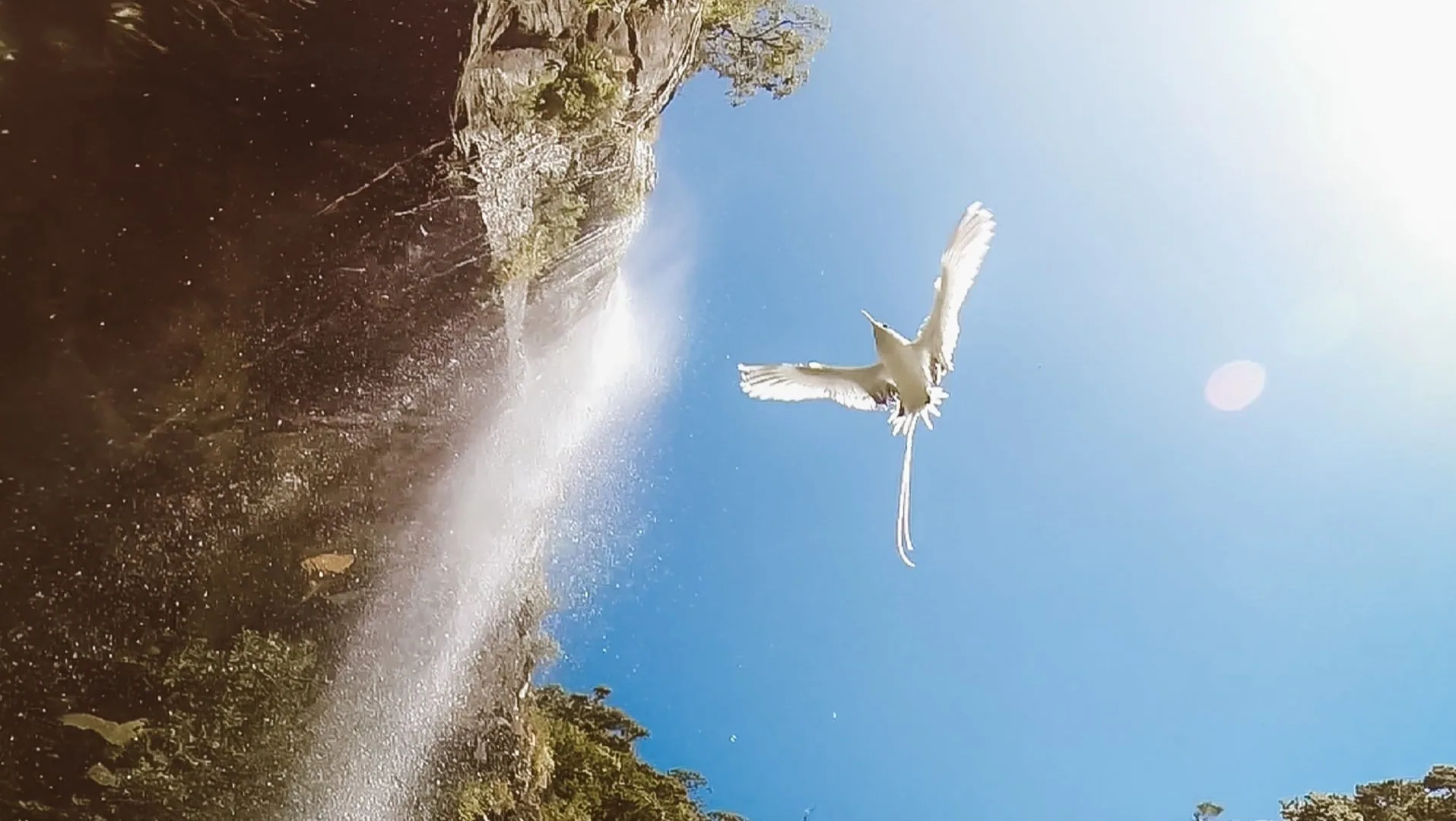 Comparison of a scenic visit, waterfall hiking and guided canyoning at Tamarind Falls