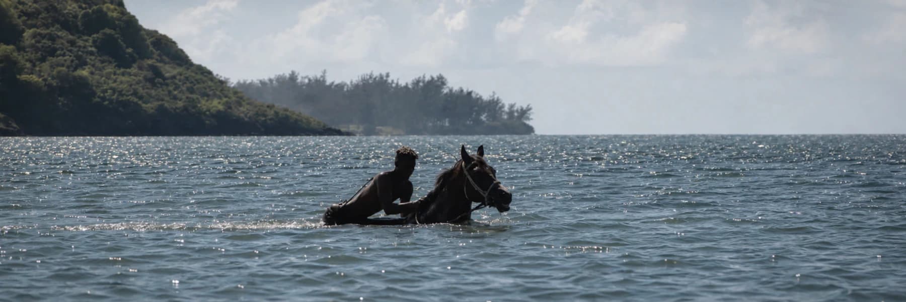 Advanced beach ride and swimming with horses