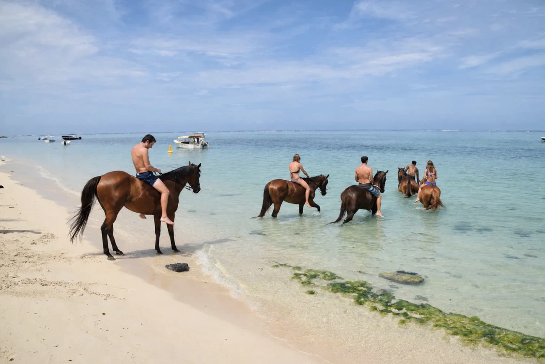 Baño a caballo en Le Morne