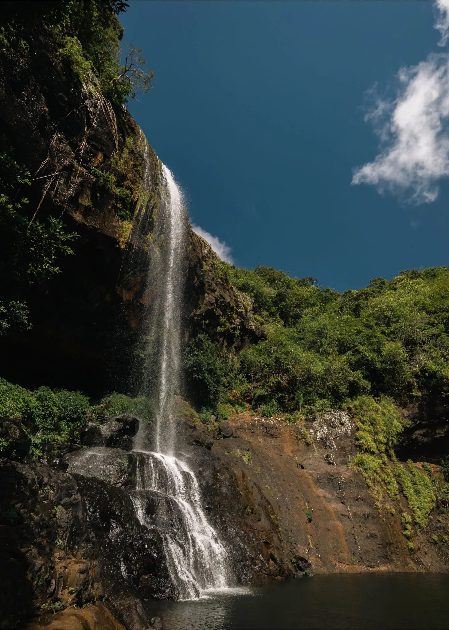 A waterfall descending into a rocky gorge surrounded by trees at Tamarind Falls. Photograph from Yanature.