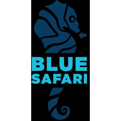 Blue Safari Group
