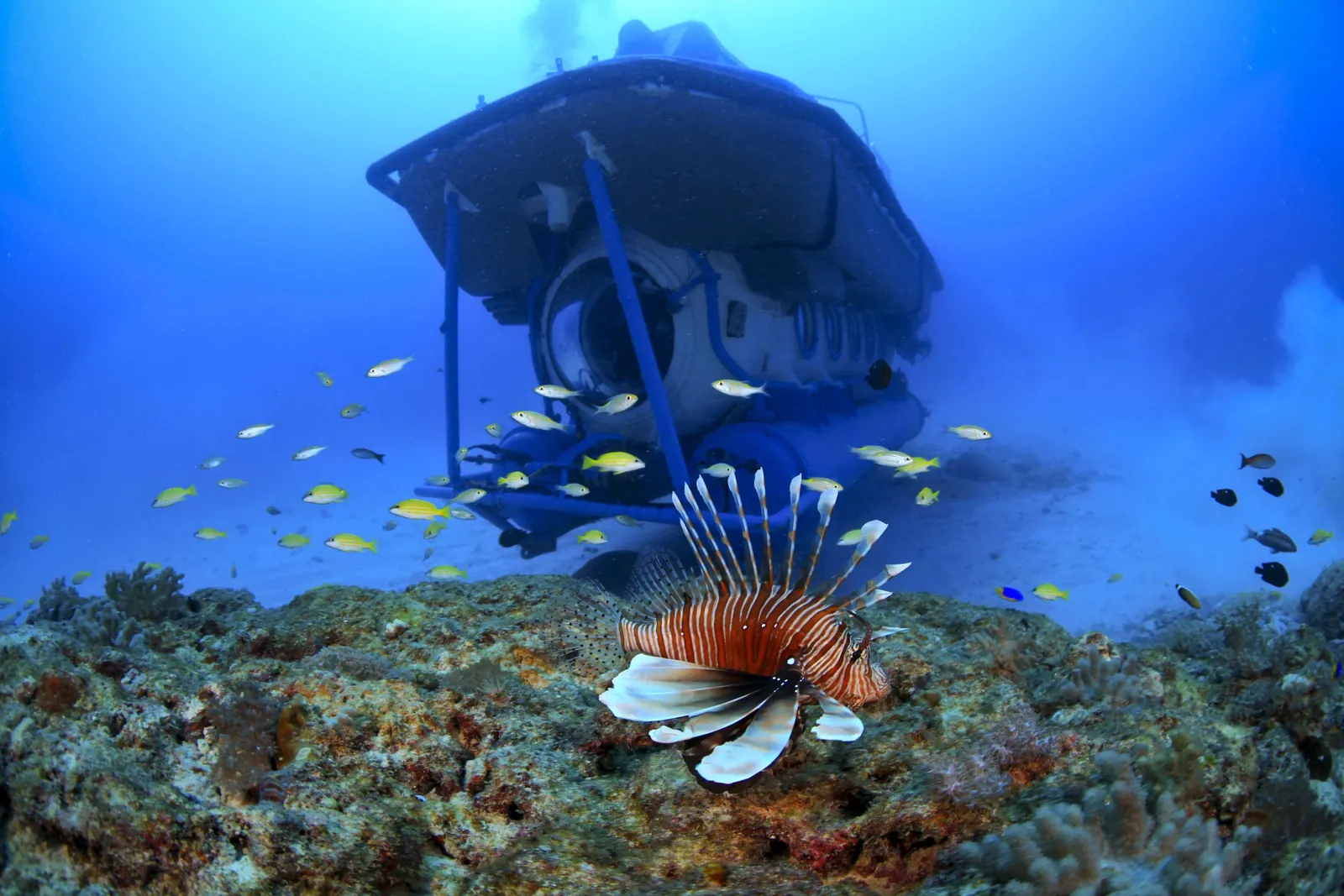 Sous-marin à l’île Maurice depuis Trou aux Biches