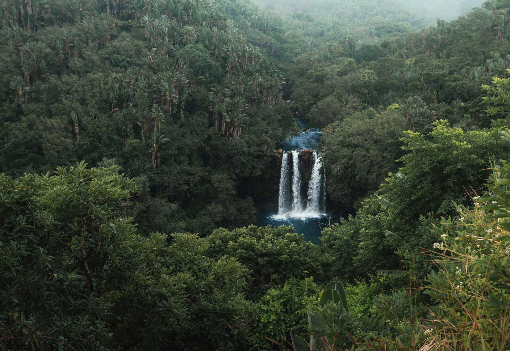 Eau Bleu waterfall surrounded by forest
