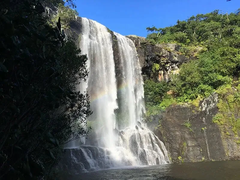 Wanderung zu den Wasserfällen von Tamarind Falls: Was Sie vor dem Aufbruch wissen sollten