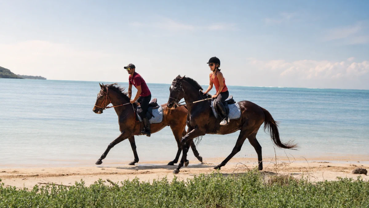 Cavaliers au bord de la mer au Morne