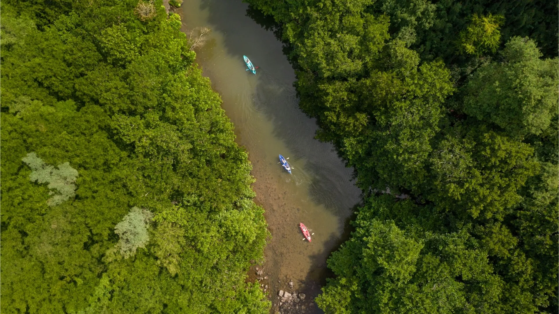Kayak on the Tamarin River