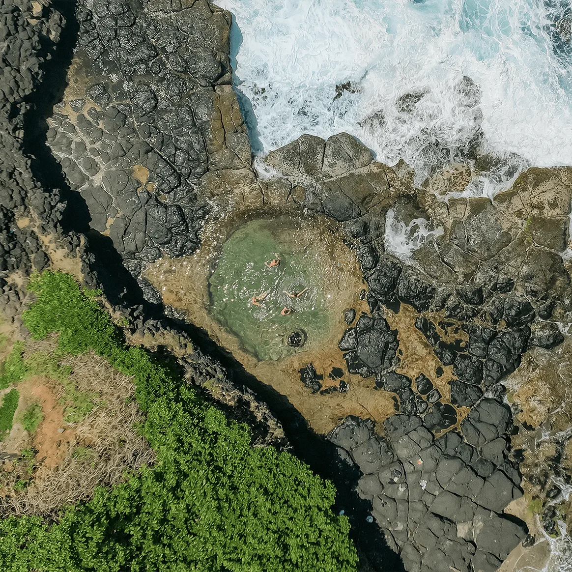 Discover the Wild South - Guided Hike