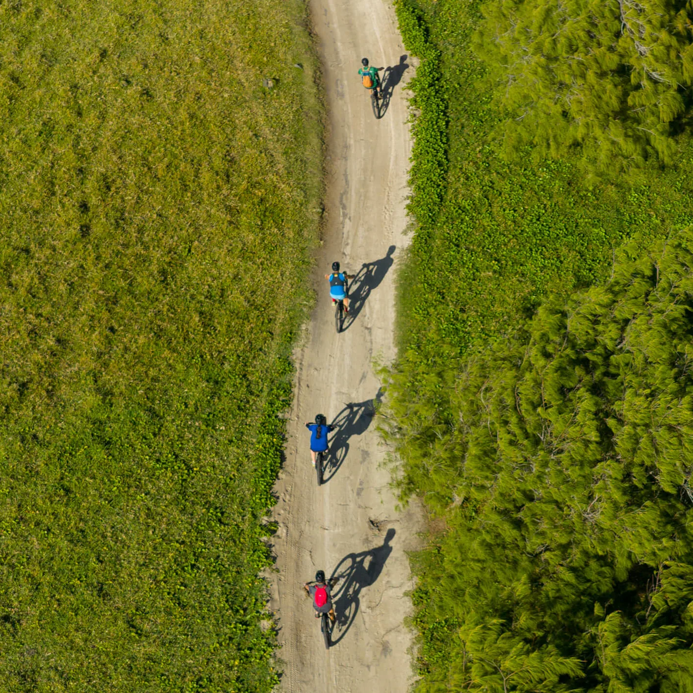 Wild South E-bike Adventure